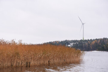 Tall wind power turbine and yellow reeds by the Baltic Sea in the Southern coast of Finland on a cold October afternoon in 2017.