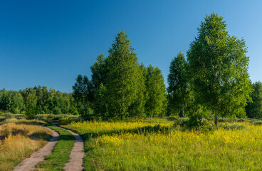 Walk through wooded areas and flowering meadows. Hiking.
