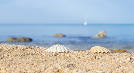 Close-up of the beach with shells and sea sand, in the background the sea and the sky, in the...