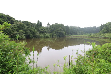 野池