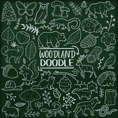 Woodland Animals Chalkboard Doodle Icons. Sketch Hand Made Design Vector Art.