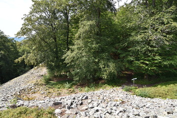 Keltenring bei Otzenhausen