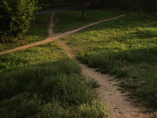 path in the field