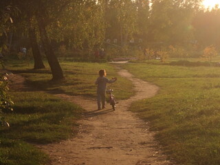 cyclist in the Park, sunset in the field