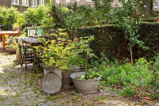 Travel Impression In A Dutch Village