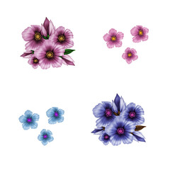 Isolated pink and blue flowers