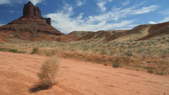 A tumbleweed blowing across a parched desert road