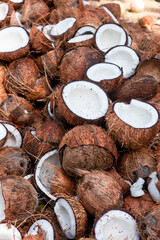 Many fresh coconut cut into half, drying in the sun to make coconut oil in Kerala, India. Indian dry coconut or copra or dried kernel used to extract coconut oil in rural village. Arecaceae palm.