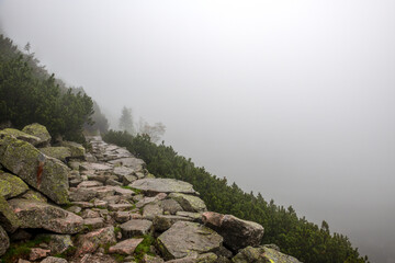 kamienista ścieżka na górskim szlaku, mglisty poranek