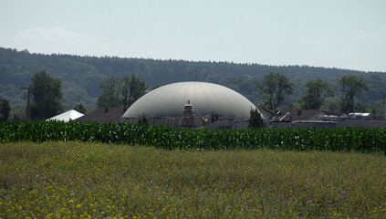 The dome of a biogas plant, in the foreground a flower meadow and a corn field.