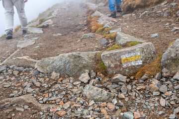 Turyści na żółtym szlaku w Tatrach w trakcie mgły - obrazy, fototapety, plakaty