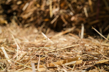 Closeup of a hay bale © Regis