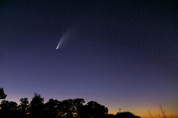 NEOWISE Comet in the evening sky