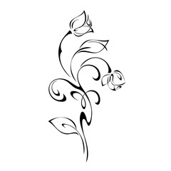 ornament 1243. stylized twig with two rosebuds, leaves and curls in black lines on a white background