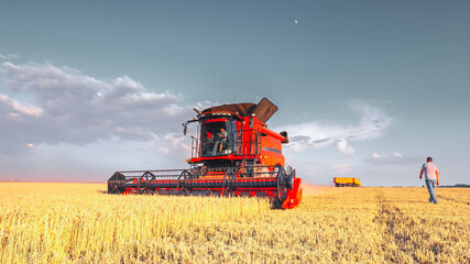 Harvesting of grain crops in the field, a bright summer landscape with a combine harvester. Selective focus.