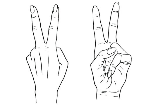 Human hand vector illustration. Hand drawn vector peace sign hand icon gesture