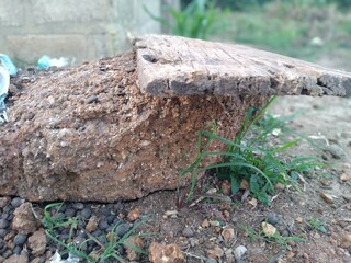 Old Wood on a stone