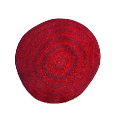 A slice of fresh red beets. Close-up isolation on a white background. Texture for design.