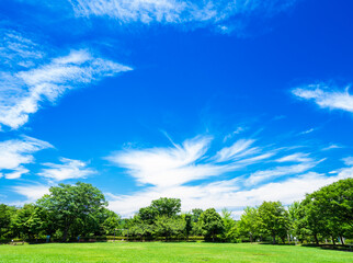 青空が広がる住宅街の公園