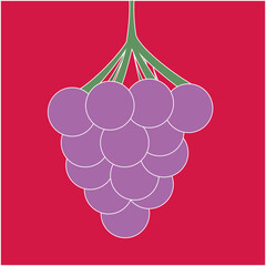 A delicious bunch of wine for health, from which you can make wine, you can eat