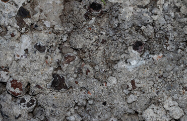 The texture of the concrete. Grey stone background.