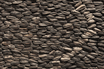 healthy and delicious Sunflower seeds layed in a pattern