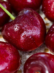 Close up of big red cherries with water drops.