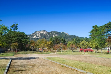 韓国 ソウル 景福宮の庭園