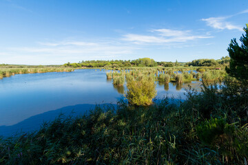 Fototapeta na wymiar Amazing Scenic Landscape with natural marsh lake and wetland, Portugal