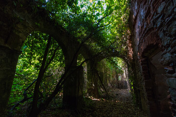 Obraz premium Abandoned church in ruins of Hermits Monks. Convent building from Portugal with tree growing inside.