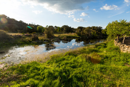 Amazing Landscape with natural Mediterranean temporary pond (Natura 2000 network priority habitat; European Union)