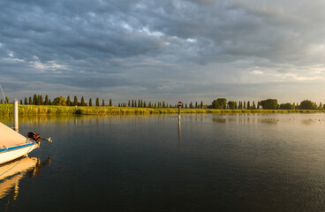 Obraz premium Nature reserve at Lake Constance in morning light, Radolfzell, Baden-Wuerttemberg, Germany