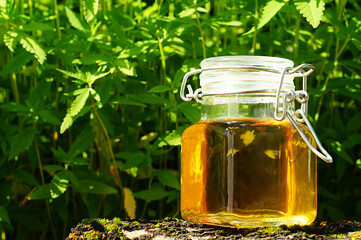 A jar of hemp oil, against the background of a cannabis plant. Essential oil, medical cannabis. Close-up, copy space..