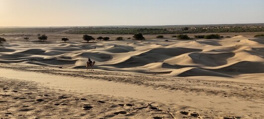 Sandunes desert 