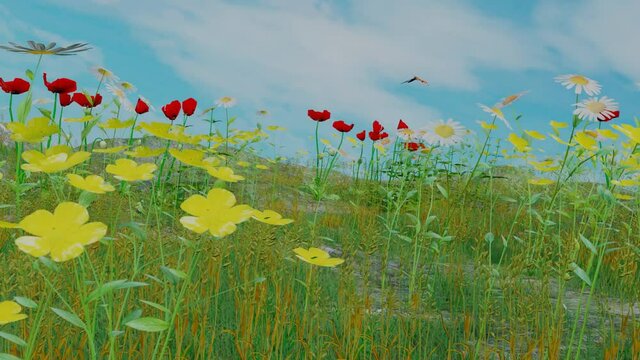 Schmetterling auf Blumenwiese