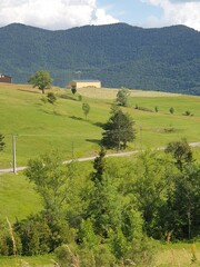 bergerie