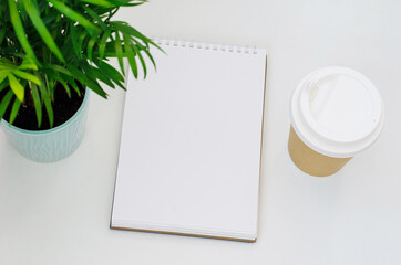 creative process. blank sheet of spiral notebook, coffee, home plant on a white background.