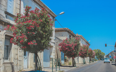 street in the old town of paris