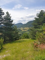 paysage