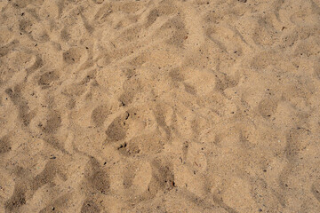 Sand