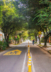 carrera 17 de la localidad de Teusaquillo en Bogotá Colombia