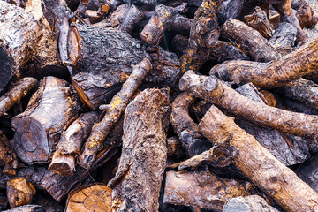 Branches from the woods