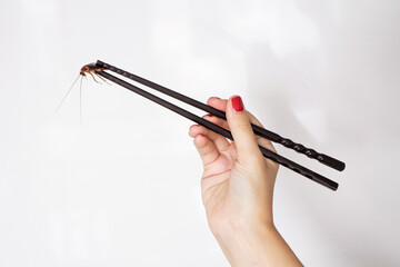 Holds a cockroach with Chinese chopsticks. Insects as food. Exotic weird food concept.