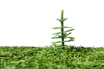 Green fir tree or spruce needles background only closeup