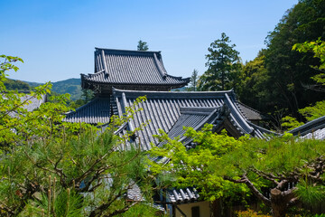 由良町 興国寺 境内