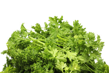 bunch of ripe green parsley isolated on a white background