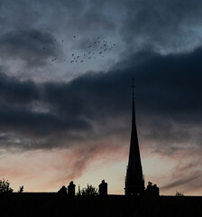 Obraz premium Birds Over Steeple