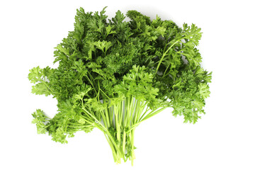 Fototapeta premium bunch of ripe green parsley isolated on a white background