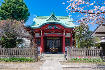 Obraz premium 筑土八幡神社 春