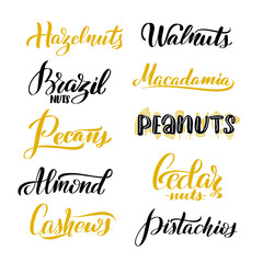 Vector calligraphy illustration isolated on white background.